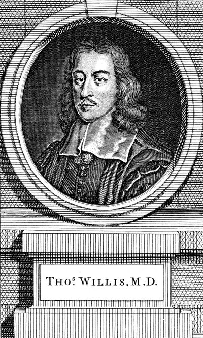 Thomas Willis, anglický lékař 17. století, 1742 od George Vertue