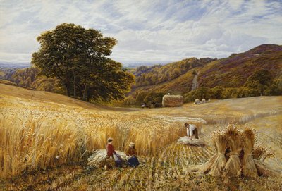 Čas sklizně poblíž Holmbury Hill, Surrey od George Vicat Cole