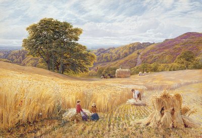 Doba sklizně poblíž Holmbury Hill, Surrey, 1865 (wc a barva karoserie na papíře) od George Vicat Cole