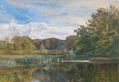 The Mill Pond, Evelyn Woods od George Vicat Cole