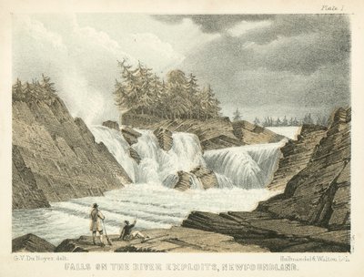 Vodopády na řece Exploits, Newfoundland (kolorovaná rytina) od George Victor Du Noyer