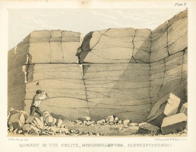 Lom v Oolitu, Minchinhampton, Gloucestershire (kolorovaná rytina) od George Victor Du Noyer