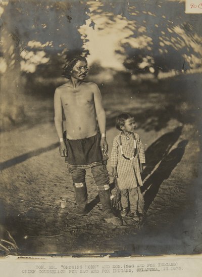 Honzo Pan Rostoucí roh a syn. (Sac and Fox Indian) Hlavní poradce pro Sac and Fox Indian, Oklahoma, v roce 1873 (foto) od George W. Ingalls
