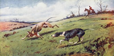 Coursing od George Wright