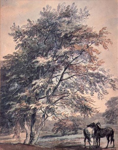 Stromy a koně, 18. století od George the Elder Barret