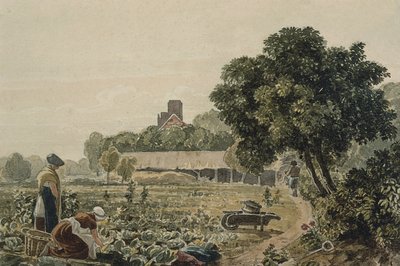 Market Garden v Chelsea od George the Younger Barret