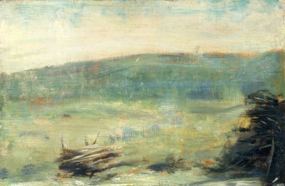 Krajina v Saint-Ouen, 1878 nebo 1879. od Georges Pierre Seurat
