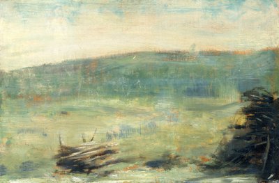 Krajina v Saint-Ouen, 1878-79 (olej na dřevě) od Georges Seurat