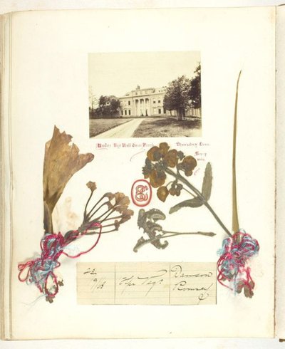 Nepojmenovaná od Georgina Cowper