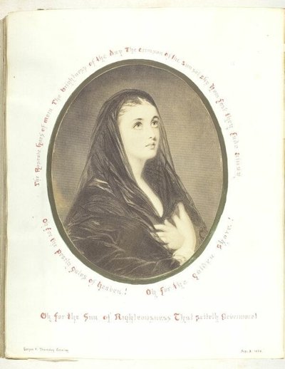 Bez názvu od Georgina Cowper