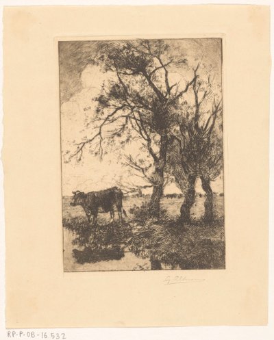 Kráva na nábřeží od Gerard Altmann (signed by artist)