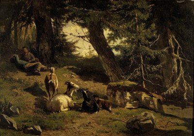 Švýcarská krajina od Gerard Bilders