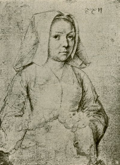 Mladá žena, konec 15.-začátek 16. století, 1908. od Gerard David