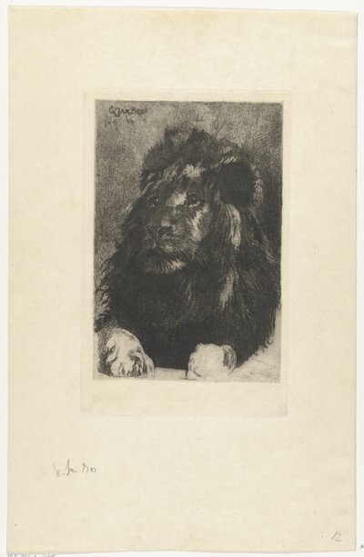 Hlava lva od Gerard Jan Bos