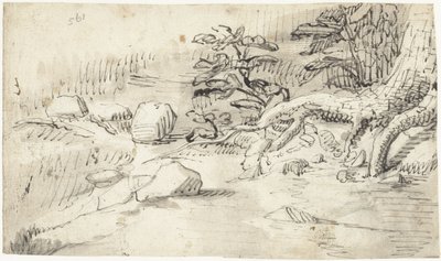 Studie kořenů stromu v blízkosti potoka od Gerard ter Borch (I)