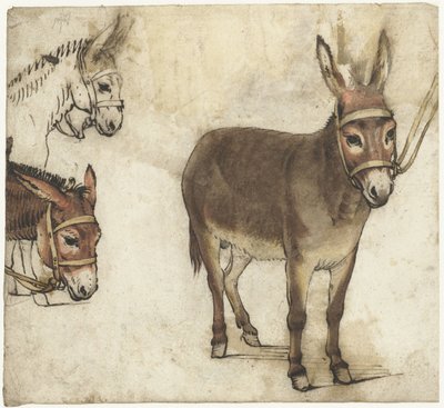 Studijní list s osly od Gerard ter Borch (I)