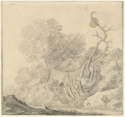 Domy mezi stromy poblíž vody od Gerard ter Borch (II) (possibly)