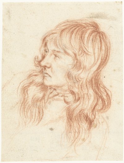 Hlava mladého muže, vlevo od Gerard ter Borch (II)