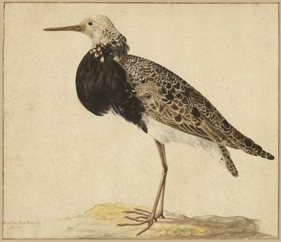 Stojan Ruff od Gerardus van Veen