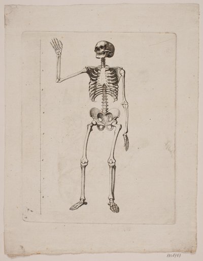 Kostra od Gerhard Ludvig Lahde