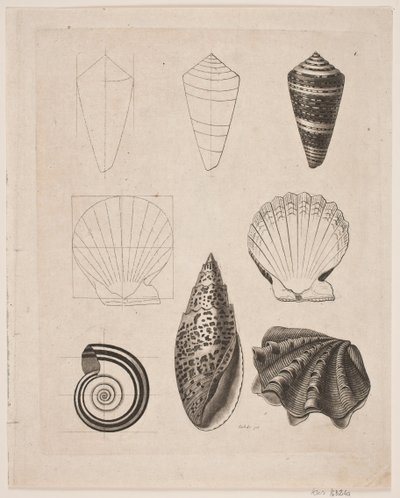 Tabule s šneky od Gerhard Ludvig Lahde