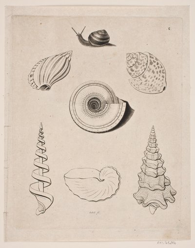 Tabule s šneky od Gerhard Ludvig Lahde