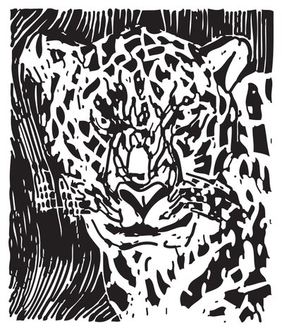 Leopardí od Gerhardt Isringhaus