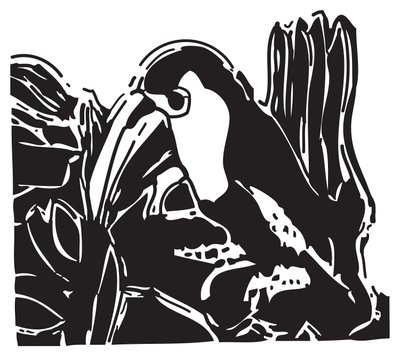 Toucan od Gerhardt Isringhaus