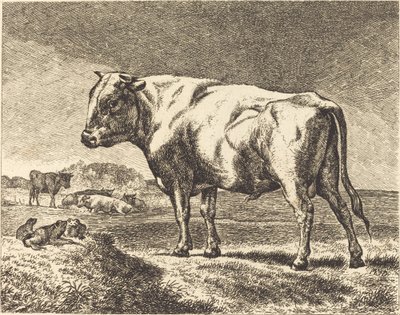 Kráva od German 19th Century