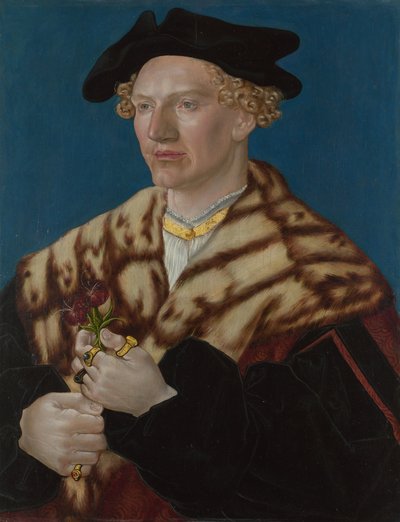Portrét muže, cca 1530 od German Master