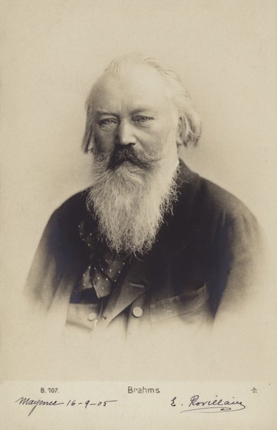 Johannes Brahms, německý skladatel a klavírista (1833-1897) (čb fotografie) od German Photographer