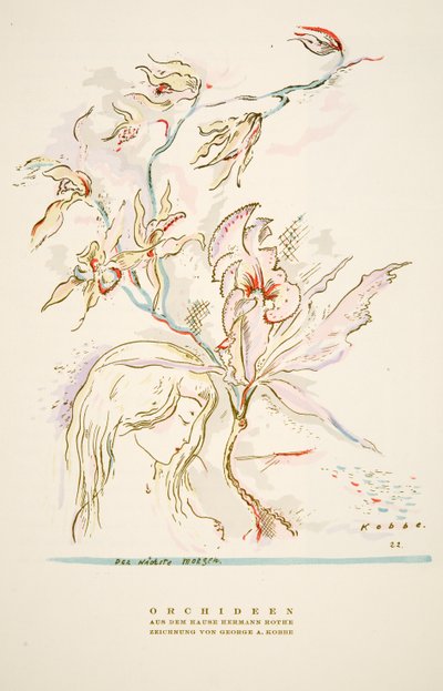 Reklama "Orchideen aus dem Hause Hermann Roth" z časopisu Styl, pub.1922 (pochoir print) od German School