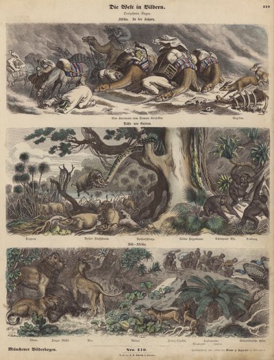 Afrika: karavana zachycená v písečné bouři na Sahaře; pobřeží Guineje; Jižní Afrika (barevná rytina) od German School