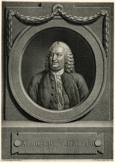 Albert von Haller od German School