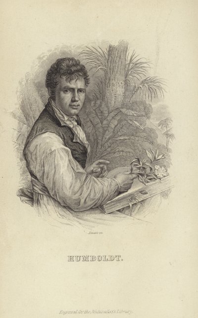 Alexander von Humboldt od German School