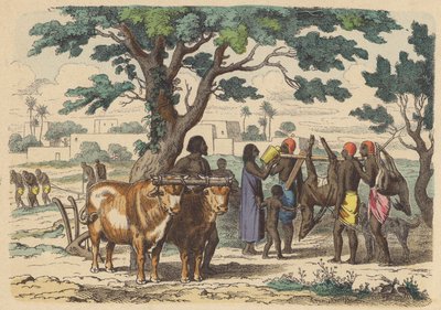 Starověký egyptský farmář a lovci (barevná rytina) od German School