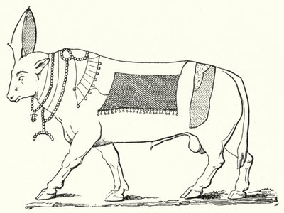 Apis, posvátný býk starověkého Egypta (rytina) od German School