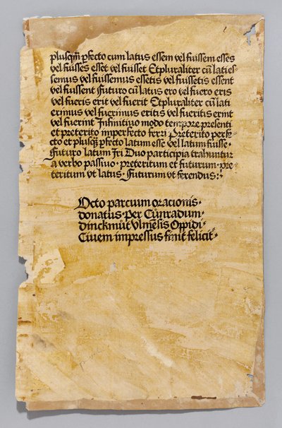 Ars Minor od Aelius Donatus, tisk Konrad Dinckmut, Ulm, c.1476-80 (knihovník) od German School
