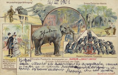 Cirkus Barnum a Bailey (barevná litografie) od German School