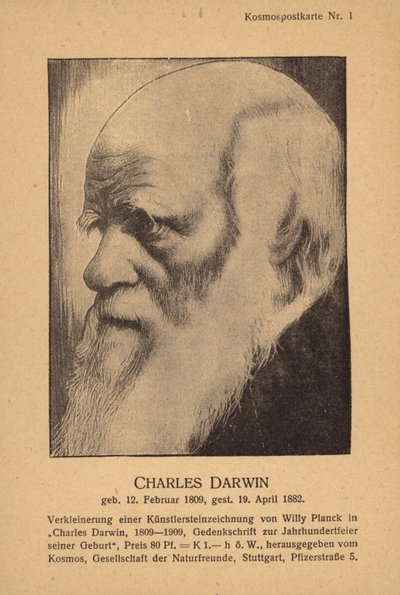 Charles Darwin (1809-1882), anglický přírodovědec (litografie) od German School