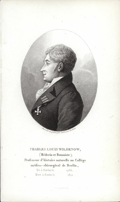 Charles Louis Wildenow od German School