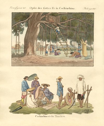 Cochin čínské použití a šaty (barevné rytí) od German School