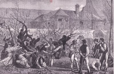 Kácení stromů kolem Paříže kvůli palivovému dříví, Cassells History of the War between France and Germany vydané nakladatelstvím Cassell and Company Limited, kolem roku 1890 (litho) od German School
