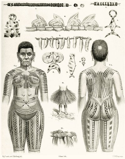 Diagram zobrazující polynéské šperky, ozdoby a návrhy tetování, 1888 od German School