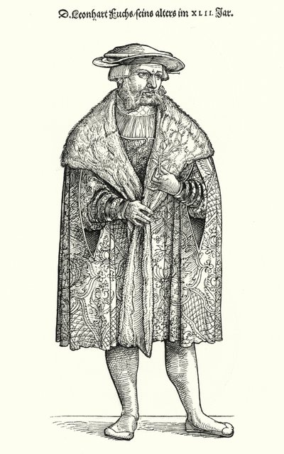 Dr Leonhart Fuchs, německý lékař, botanik a profesor na univerzitě v Tubingenu (rytina) od German School