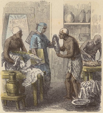 Balzamování zvířat ve starověkém Egyptě (barevné rytí) od German School