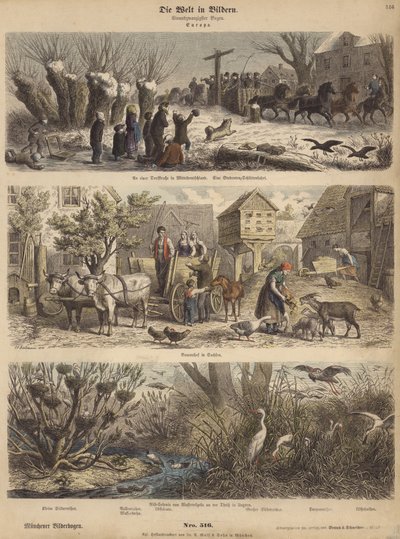 Evropa (barevná rytina) od German School