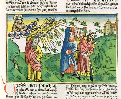 Exodus 10:1-20 Sedm egyptských ran: mor kobylek, z norimberské bible (Biblia Sacra Germanaica) (barevný dřevoryt) od German School
