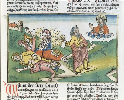 Exodus 9 8-12 Sedm ran Egypta: Mojžíš a mor vředů, z norimberské bible (Biblia Sacra Germanaica) (barevný dřevoryt) od German School