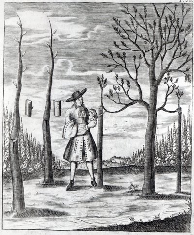 Gardening and Plant Maladies, ilustrace z „Neue Garten-lust“ od Heinricha Hesse, 1696 od German School
